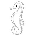 Seahorse Line art Black on white background Illustration doodle Monochrome Underwater World collection Icons and symbols