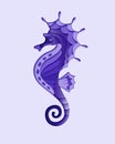 Seahorse in purple tones Royalty Free Stock Photo