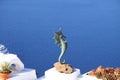 Seahorse sculpture against Aegean blue waters background in Santorini, Greece.