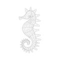 Seahorse Sea Underwater Nature Adult Black And White Zentangle Coloring Book Illustration