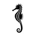 Seahorse graphic icon. Sea life symbol