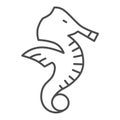 Seahorse thin line icon, ocean life concept, Sea horse sign on white background, Underwater aquatic animal symbol in