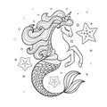 Seahorse unicorn with starfish. Black and white linear drawing. Vector