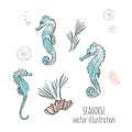 Seahorse vector illustration. Cute marine animals wildlife print. Ocean horse underwater natural dsesign. Tropical