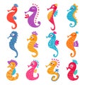 Seahorse vector seafish character or cartoon sea-horse undersea in tropical wildlife illustration set of exotic sea Royalty Free Stock Photo