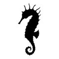 Seahorse vector silhouette. Hand drawn illustration of Sea Horse on isolated background in outline style. Linear drawing Royalty Free Stock Photo