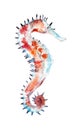 The seahorse, watercolor illustration isolated on white. Royalty Free Stock Photo