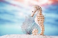 Seahorse on white sand beach, ocean, sky and seascapee Royalty Free Stock Photo