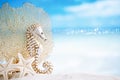 Seahorse with white starfish on white sand beach, ocean, sky an Royalty Free Stock Photo