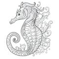 Seahorse zentangle stylized coloring pages for adults