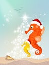 Seahorses celebrate Christmas Royalty Free Stock Photo