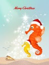 Seahorses celebrate Christmas Royalty Free Stock Photo