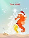 Seahorses celebrate Christmas Royalty Free Stock Photo