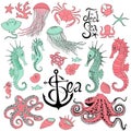 Seahorses with jellyfish, octopus, crab and other