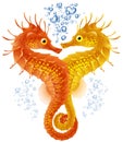 Seahorses in love