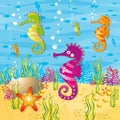 Seahorses under water