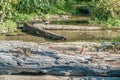 Seahurst Beach Stream Royalty Free Stock Photo