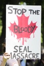 Seal activist. Royalty Free Stock Photo