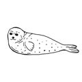 Seal arctic animal hand drawn black and white vector illustration Royalty Free Stock Photo