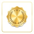 Seal award gold icon Blank medal Royalty Free Stock Photo