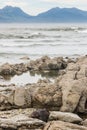 Seal basking on rocks at Kaikoura beach Royalty Free Stock Photo