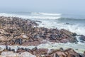 The seal colony at Cape Cross, on the atlantic coastline of Namibia, Africa. Expansive view on the beach, the rough ocean and the Royalty Free Stock Photo