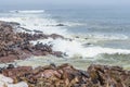 The seal colony at Cape Cross, on the atlantic coastline of Namibia, Africa. Expansive view on the beach, the rough ocean and the Royalty Free Stock Photo