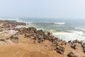 The seal colony at Cape Cross, on the atlantic coastline of Namibia, Africa. Expansive view on the beach, the rough ocean and the Royalty Free Stock Photo