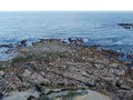 Seal Colony of New Zealand