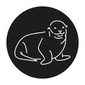 Seal color line illustration. Marine mammals.