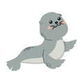 Seal cute animal cartoon flat Royalty Free Stock Photo