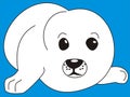 Seal-dog puppy Royalty Free Stock Photo