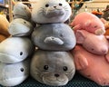 Seal dolly and many dolls
