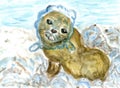 Seal entangled art Royalty Free Stock Photo