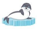 Seal animal lies on an ice floe. Cartoon illustration