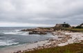 Seal lions lying on the beach in Monterey Royalty Free Stock Photo