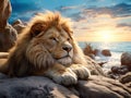 seal love nature background beach water spring travel lion wallpaper winter ocean sea sleep smile