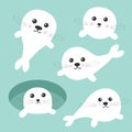 Seal pup baby harp set. Ice-hole Cute cartoon character. Blue background. Flat design