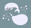 Seal pup with speech bubble on neutral background with snowflakes. Vector illustration with lying seal animal in a flat