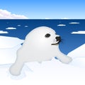 Seal puppy vector illustration Royalty Free Stock Photo