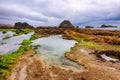 Seal Rock Beach on the Oregon Coast Royalty Free Stock Photo
