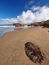 Seal Rock & Pacific Beach in San Francisco