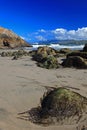 Seal Rock & Pacific Beach in San Francisco