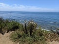 Seal sanctuary Carpenteria California Royalty Free Stock Photo