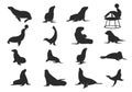Seal silhouette collection, Sea lion silhouettes, Seal clipart