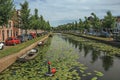 Seal statue with ball in the nose on the canal water with aquatic plants at Weesp.