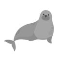 Seal water animal. Cute creature from the sea