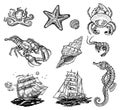 Sealife icons Royalty Free Stock Photo
