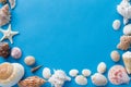 Frame of different sea shells on blue background Royalty Free Stock Photo