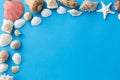 Frame of different sea shells on blue background Royalty Free Stock Photo